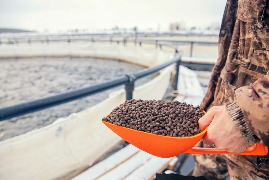 The National Aquaculture Technology and Innovation Hub hero - image of man at fishery