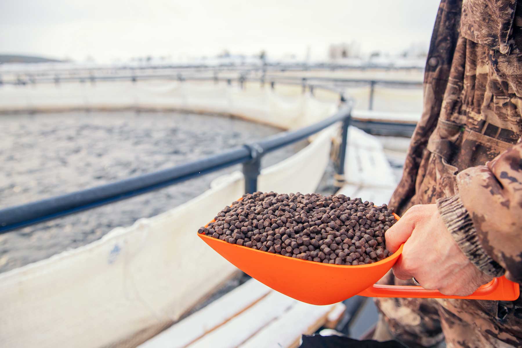 The National Aquaculture Technology and Innovation Hub hero - image of man at fishery