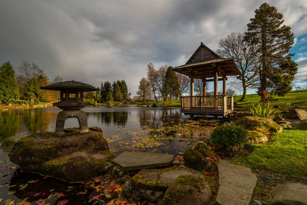 Japanese garden dollar